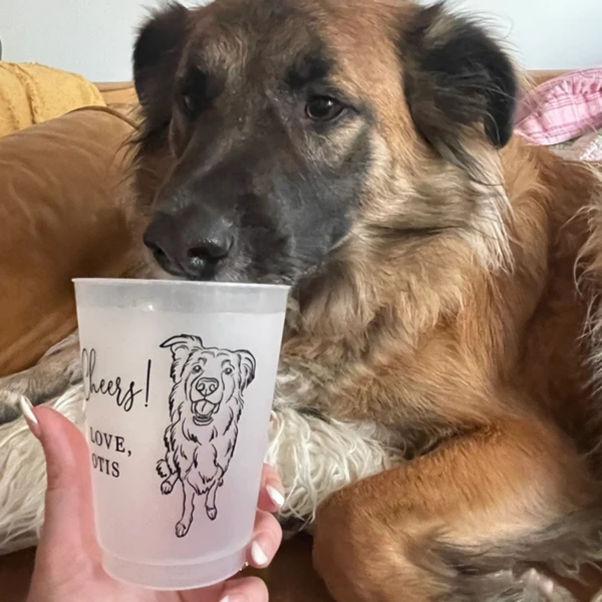 10/50 Personalizowane Matowe P – Plastic Cup 50Pcs recenzja i cena